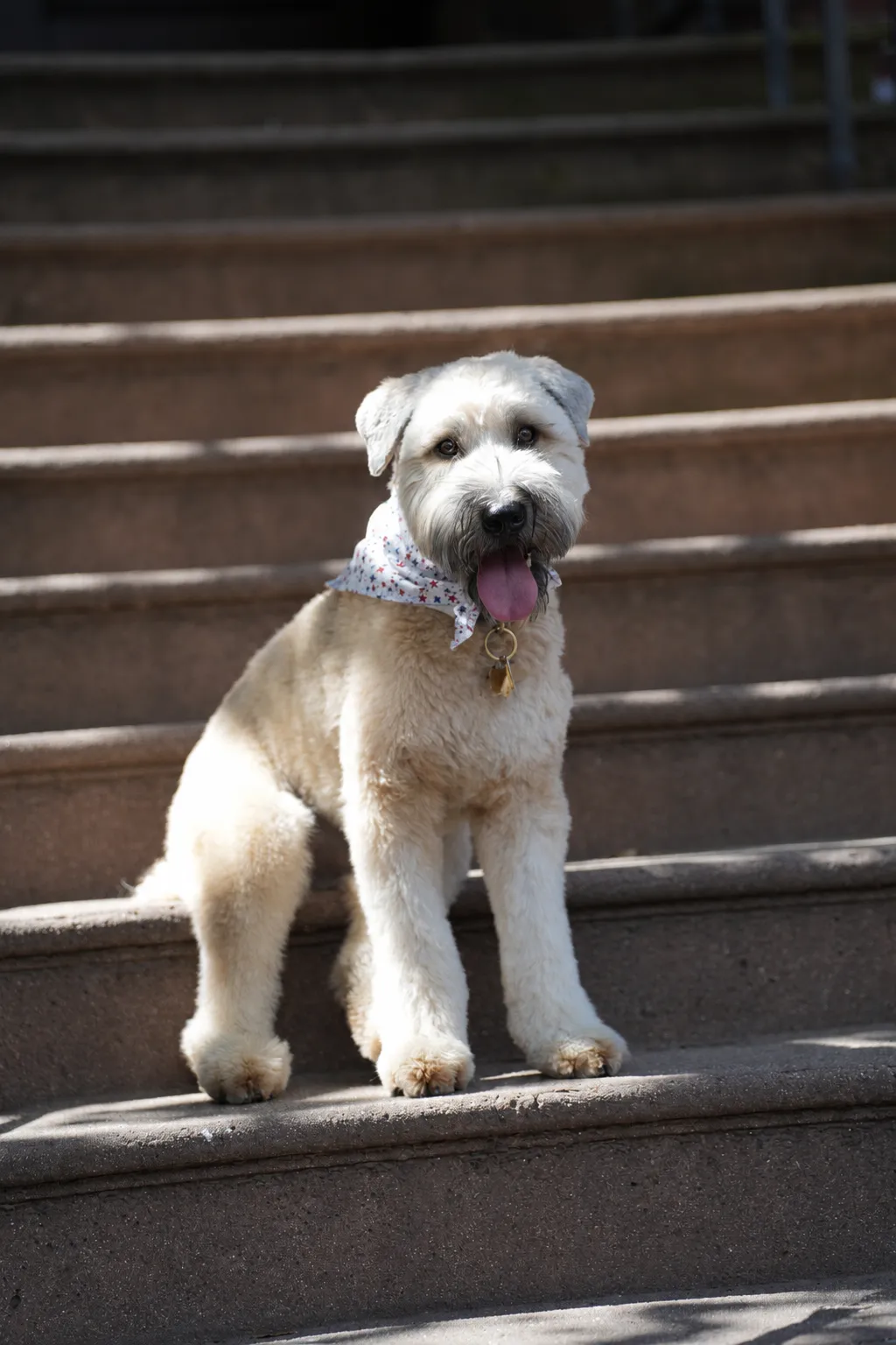 Wilson, the couple’s dog.